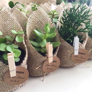 Eco-Friendly Succulent Wedding Return Gift