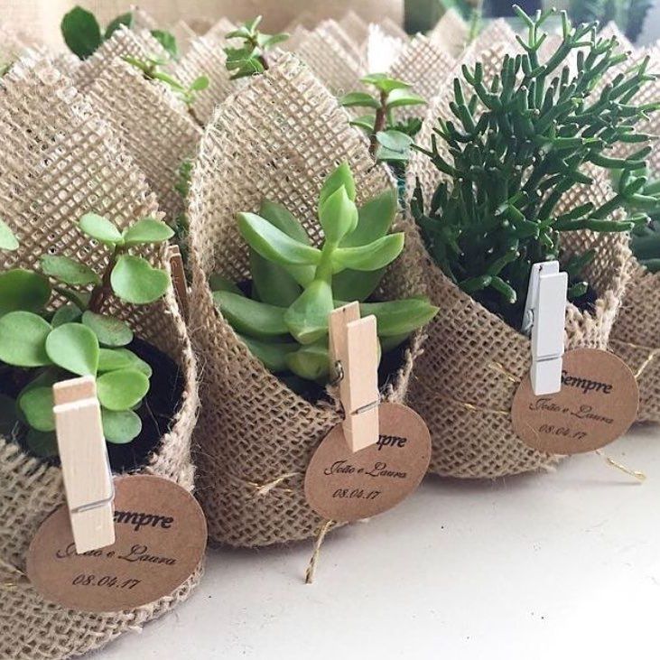 Eco-Friendly Succulent Wedding Return Gift